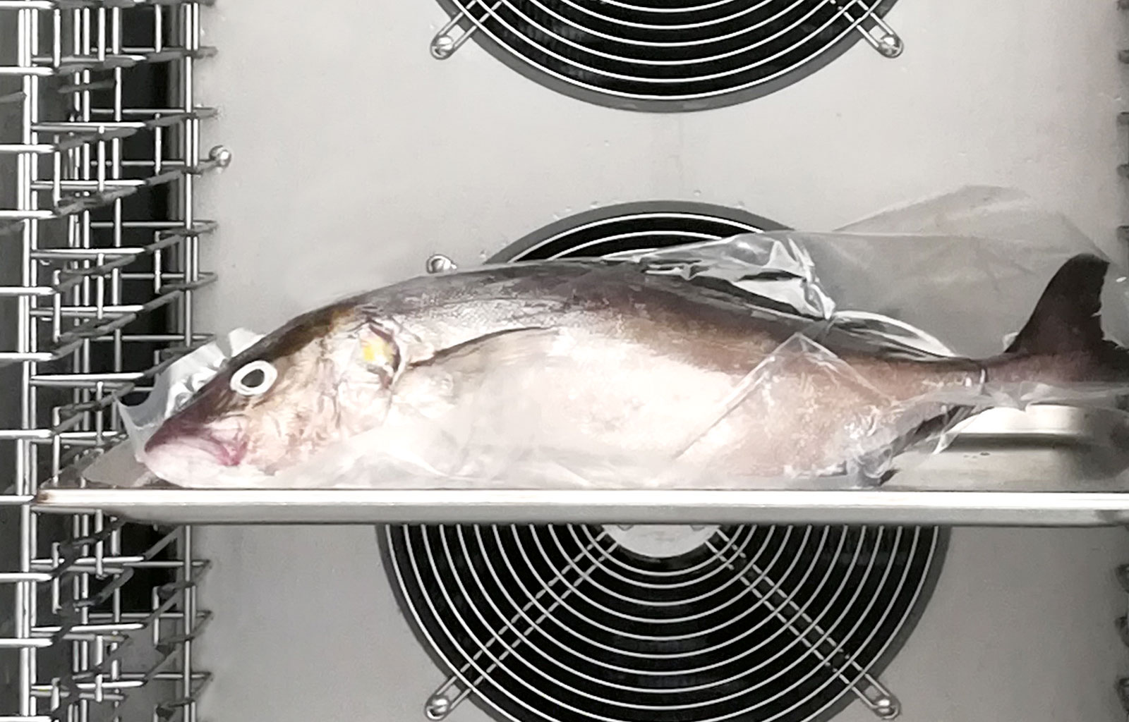 HACCP Reduction Bacterial Load | Good Food Lab | Santa Maria, Ilha do Sal, Cape Verde